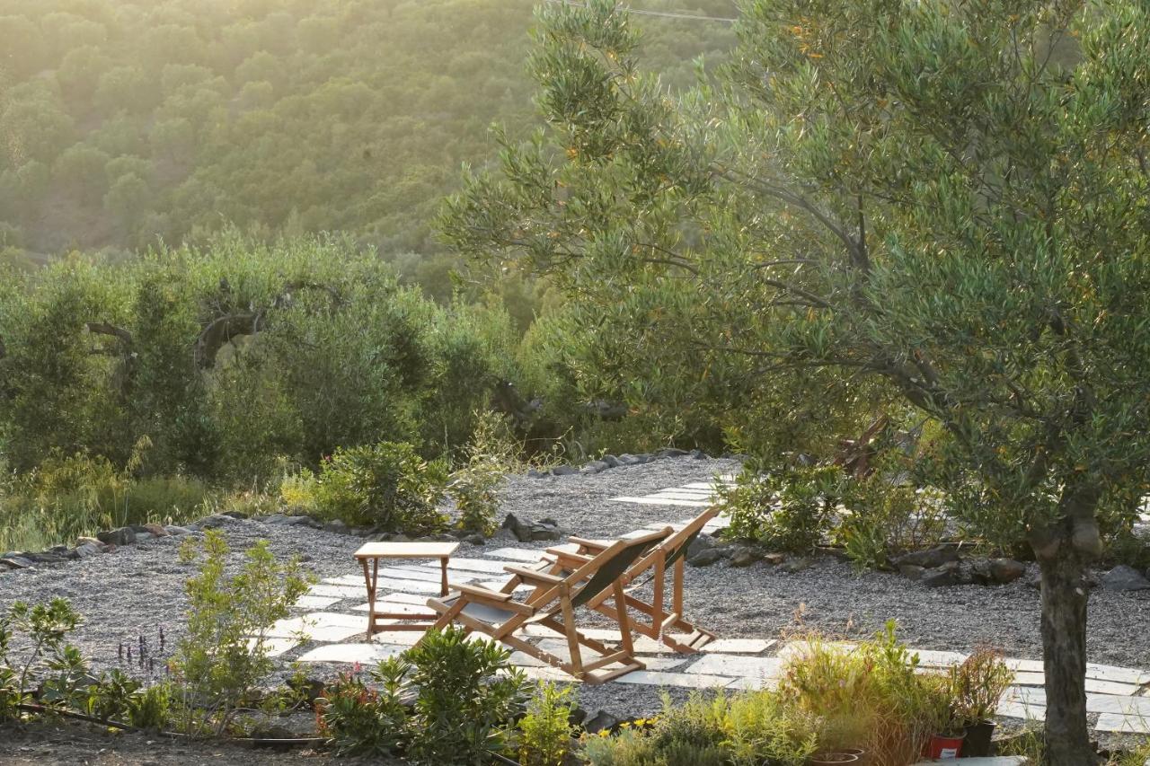נאוס מרמרס Alterra Vita Eco Villas מראה חיצוני תמונה